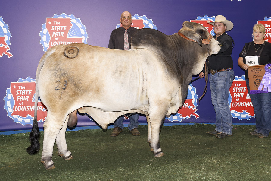 MR BER ON POINT 23/1