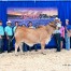 MISS CBR BABS 860/4