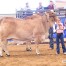 MISS CBR BABS 860/4