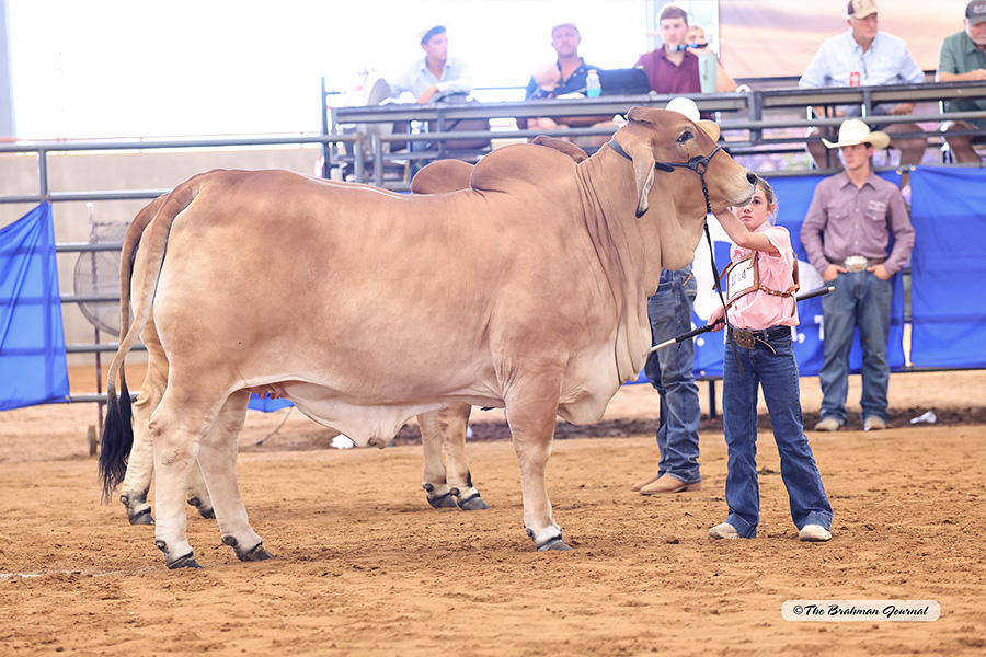 MISS CBR BABS 860/4