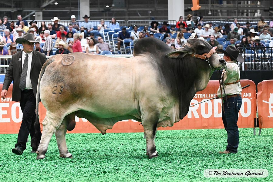 MR BER ON POINT 23/1