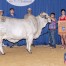 MISS BER 124/1
