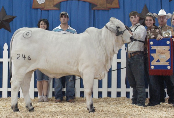 MISS BER 246 – Bulls Eye Ranch