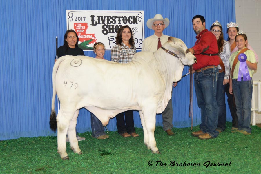 State-Fair-of-Lousiana-calf-champion-479-hoss