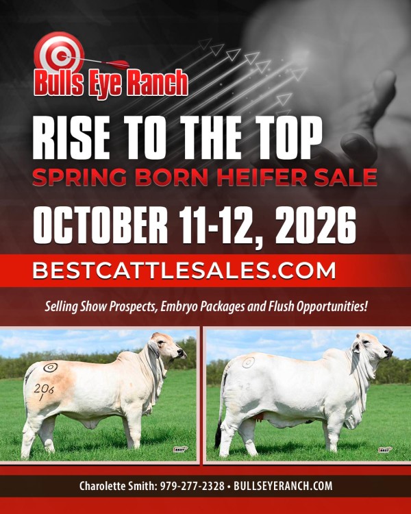 RISE TO THE TOP SALE
